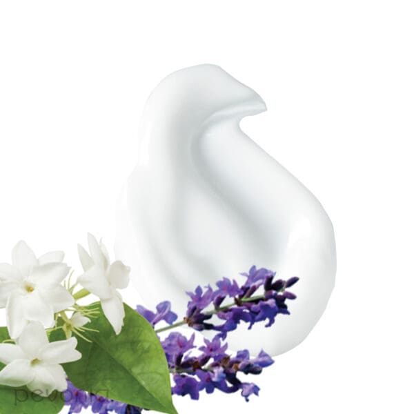Pevonia Body Renew Jasmine & Lavender Body Moisturizer - John Francis Spa