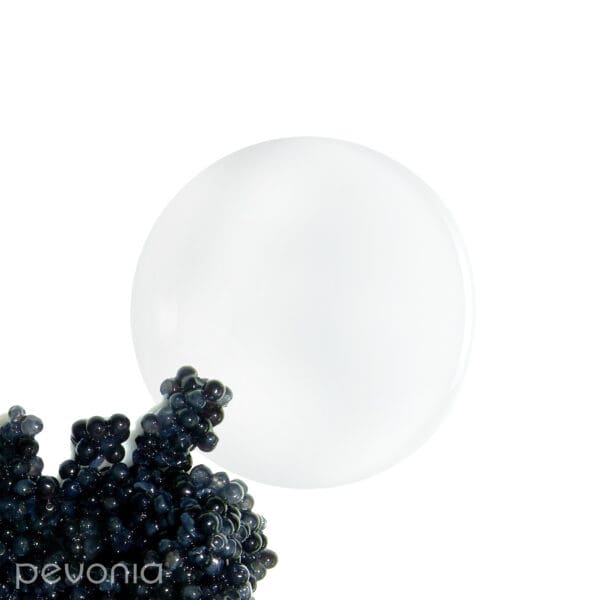Pevonia Myoxy-Caviar Timeless Repair Lotion - John Francis Spa