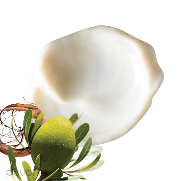 Pevonia Stem Cells Phyto Elite Intensive Cream - John Francis Spa