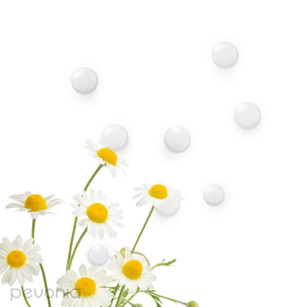 Pevonia RS2 Gentle Lotion - John Francis Spa
